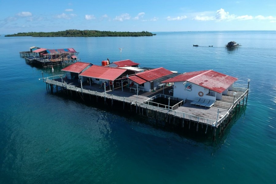 BINTAN BLACK CORAL