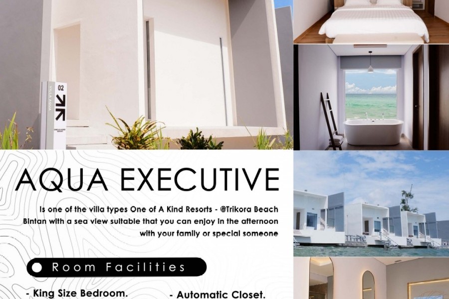 ONE OF A KIND  AQUA EXECUTIVE